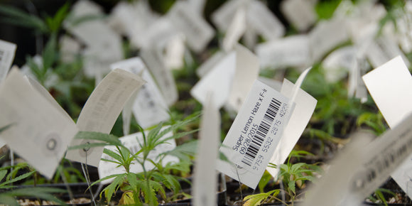 Plant Tag Printing and Scanning